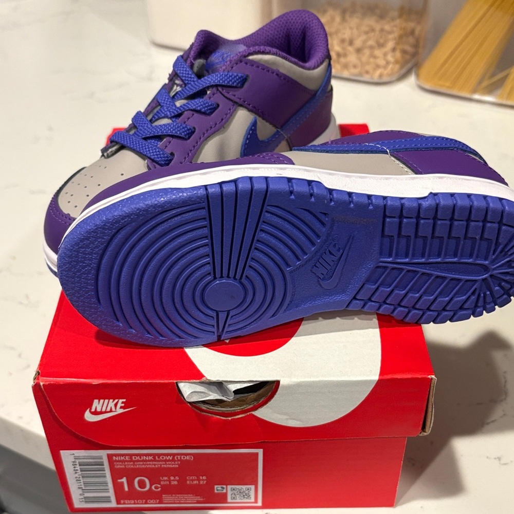 Nike Dunk Low Purple and Gray Sneakers